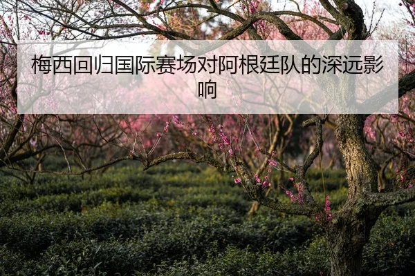 梅西回归国际赛场对阿根廷队的深远影响